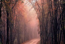 大气污染治理方案2018,大气污染治理2020年