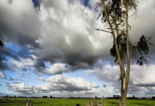 山体复绿招标,山体复绿网