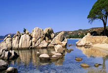 固废污染治理后面填什么项目名称,固废污染防治规划的指导思想